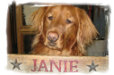 Janie